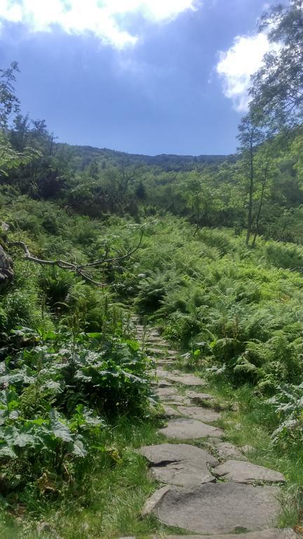 Agroturystyka Lesny Zakatek Stryszawa Exterior foto